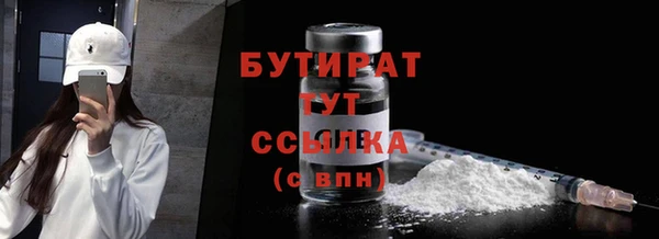 индика Дубна