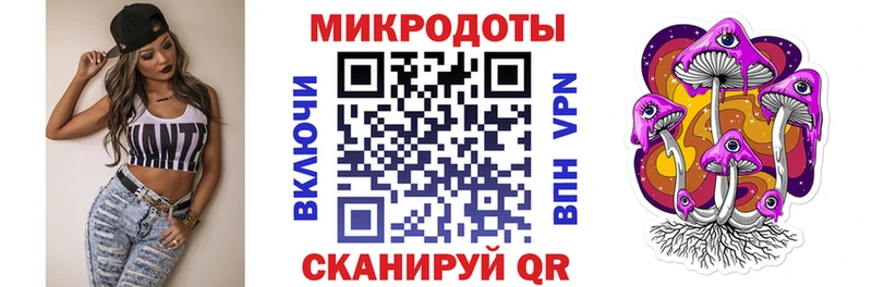 Псилоцибиновые грибы Psilocybe  Родники 