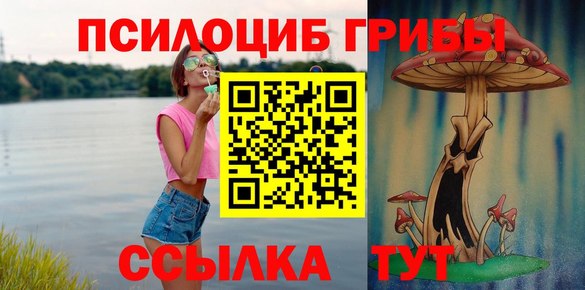Псилоцибиновые грибы мицелий Родники